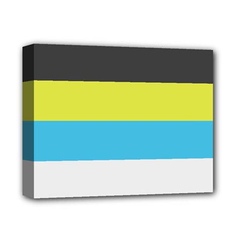 Bigender Flag Copy Deluxe Canvas 14  X 11  (stretched)