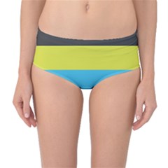 Bigender Flag Copy Mid-waist Bikini Bottoms by Dutashop