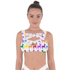 Colorful Horse Background Wallpaper Bandaged Up Bikini Top