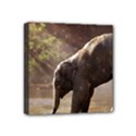 Baby Elephant Watering Hole Mini Canvas 4  x 4  (Stretched) View1