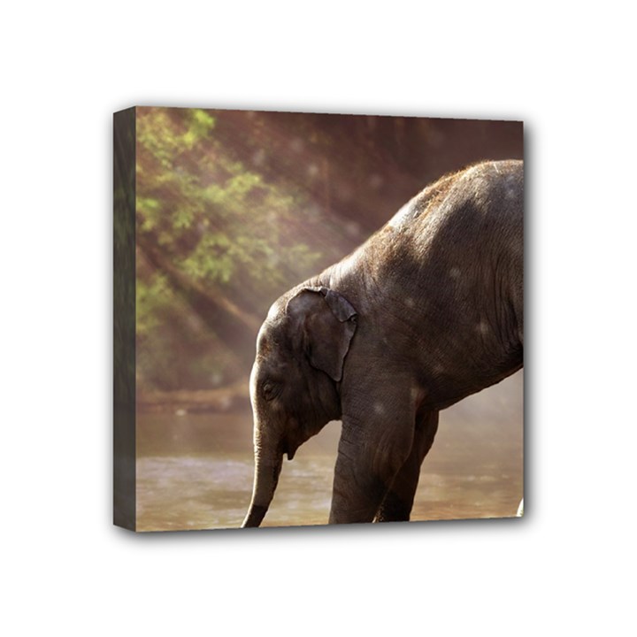 Baby Elephant Watering Hole Mini Canvas 4  x 4  (Stretched)