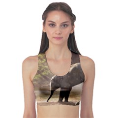 Baby Elephant Watering Hole Fitness Sports Bra