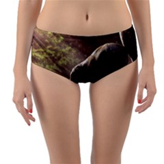 Baby Elephant Watering Hole Reversible Mid-waist Bikini Bottoms