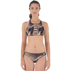 Baby Elephant Watering Hole Perfectly Cut Out Bikini Set by Sarkoni