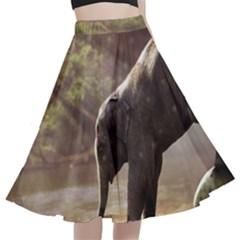 Baby Elephant Watering Hole A-line Full Circle Midi Skirt With Pocket by Sarkoni