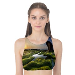 Coast Algae Sea Beach Shore Tank Bikini Top