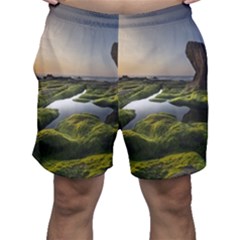 Coast Algae Sea Beach Shore Men s Shorts