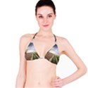 Climate Landscape Classic Bikini Top View1