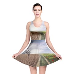 Climate Landscape Reversible Skater Dress