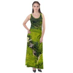 Apartment Curve Path Step Sleeveless Velour Maxi Dress by Sarkoni