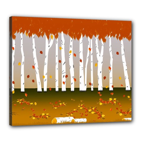 Birch Trees Fall Autumn Leaves Canvas 24  X 20  (stretched)