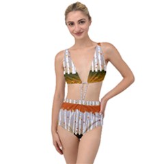 Birch Trees Fall Autumn Leaves Tied Up Two Piece Swimsuit by Sarkoni