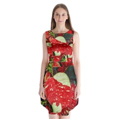 Poinsettia Christmas Star Plant Sleeveless Chiffon Dress  