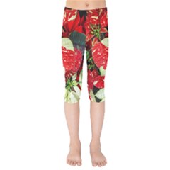 Poinsettia Christmas Star Plant Kids  Capri Leggings 