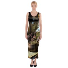 Apothecary Old Herbs Natural Fitted Maxi Dress