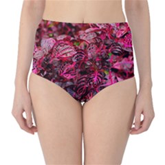 Red Leaves Plant Nature Leaves Classic High-waist Bikini Bottoms