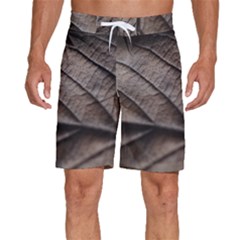 Leaf Veins Nerves Macro Closeup Men s Beach Shorts