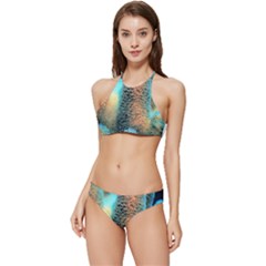 Photo Coral Great Scleractinia Banded Triangle Bikini Set