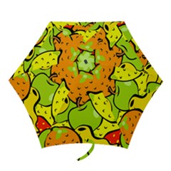 Fruit Food Wallpaper Mini Folding Umbrellas by Dutashop