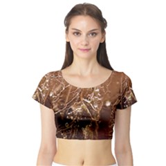 Stainless Structure Collection Short Sleeve Crop Top
