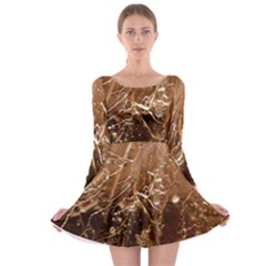 Stainless Structure Collection Long Sleeve Skater Dress