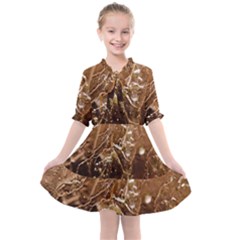 Stainless Structure Collection Kids  All Frills Chiffon Dress