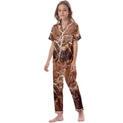 Stainless Structure Collection Kids  Satin Short Sleeve Pajamas Set