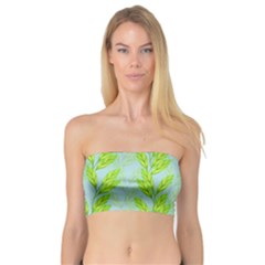 Background Leaves Branch Seamless Bandeau Top