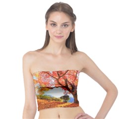 Beautiful Tree Flowers Tube Top by 1212