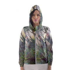 Peafowl Peacock Bird Birds Painting Art Wildlife Women s Hooded Windbreaker