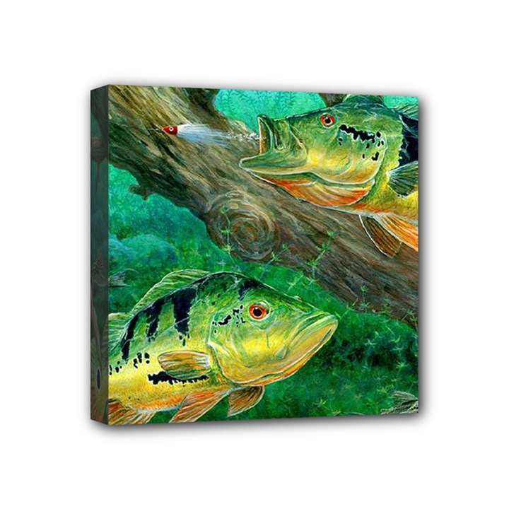 Peacock Bass Fishing Mini Canvas 4  x 4  (Stretched)