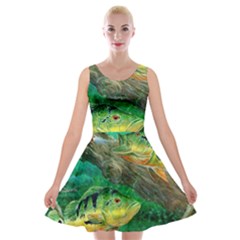 Peacock Bass Fishing Velvet Skater Dress