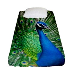 Peafowl Peacock Fitted Sheet (single Size) by Sarkoni