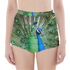 Peafowl Peacock High-waisted Bikini Bottoms