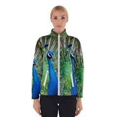 Peafowl Peacock Women s Bomber Jacket