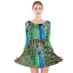 Peafowl Peacock Long Sleeve Velvet Skater Dress