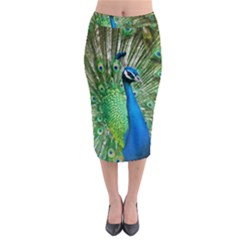 Peafowl Peacock Midi Pencil Skirt