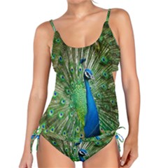 Peafowl Peacock Tankini Set by Sarkoni