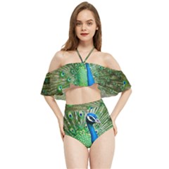 Peafowl Peacock Halter Flowy Bikini Set  by Sarkoni