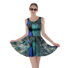 Blue And Green Peacock Skater Dress