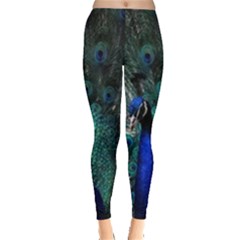 Blue And Green Peacock Everyday Leggings 