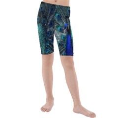 Blue And Green Peacock Kids  Mid Length Swim Shorts