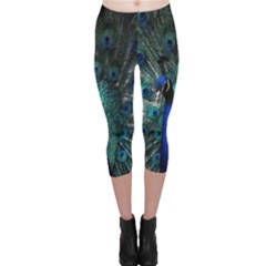 Blue And Green Peacock Capri Leggings 