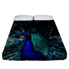 Blue And Green Peacock Fitted Sheet (california King Size) by Sarkoni