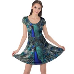 Blue And Green Peacock Cap Sleeve Dress
