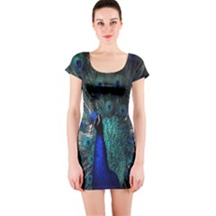 Blue And Green Peacock Short Sleeve Bodycon Dress