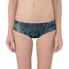 Blue And Green Peacock Classic Bikini Bottoms