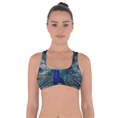 Blue And Green Peacock Got No Strings Sports Bra