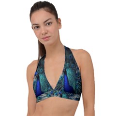 Blue And Green Peacock Halter Plunge Bikini Top