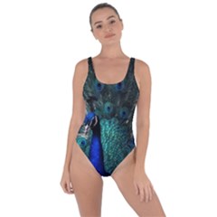 Blue And Green Peacock Bring Sexy Back Swimsuit